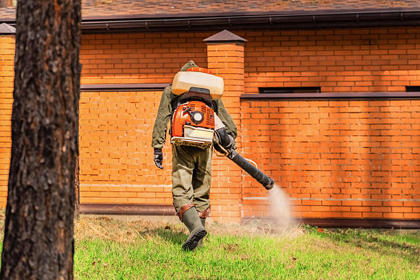 Trusted Rodent Control service in Westbrook Center, CT - Nex Pest Control